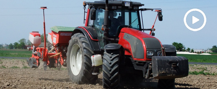 Valtra T 171 i 6 rzędów od Gaspardo w siewie kukurydzy 2018