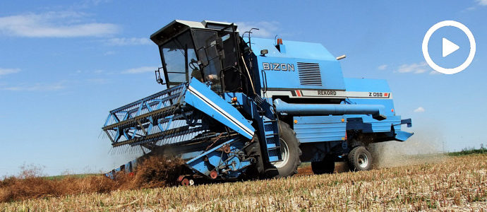 Żniwa 2018, Błękitny BIZON Z058 Rekord i Fendt 722 Vario – omłot kminku