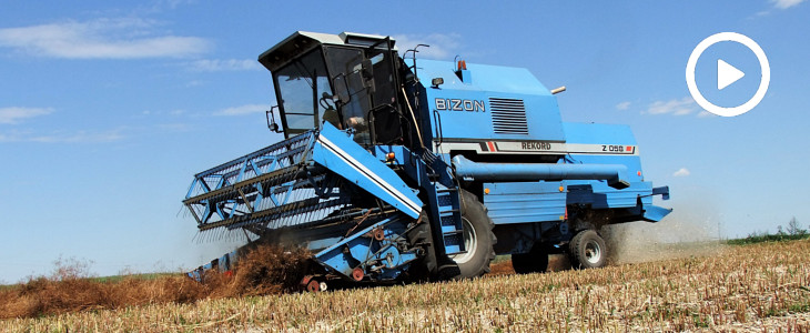 Żniwa 2018, Błękitny BIZON Z058 Rekord i Fendt 722 Vario ? omłot kminku