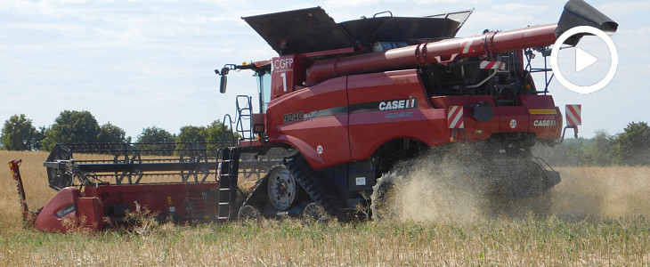 Case IH 9240 rzepak CGFP zniwa 2018 film Brytyjskie kombajny FMC 879 na kujawskich polach ? zbiór groszku 2018