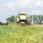 DSCF7005.JPG 150x150 Żniwa z Claas ą 2018: CLAAS LEXION 580 wyposażony w APS z Roto Plus   FOTO