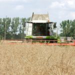 DSCF7019.JPG 150x150 Żniwa z Claas ą 2018: CLAAS LEXION 580 wyposażony w APS z Roto Plus   FOTO