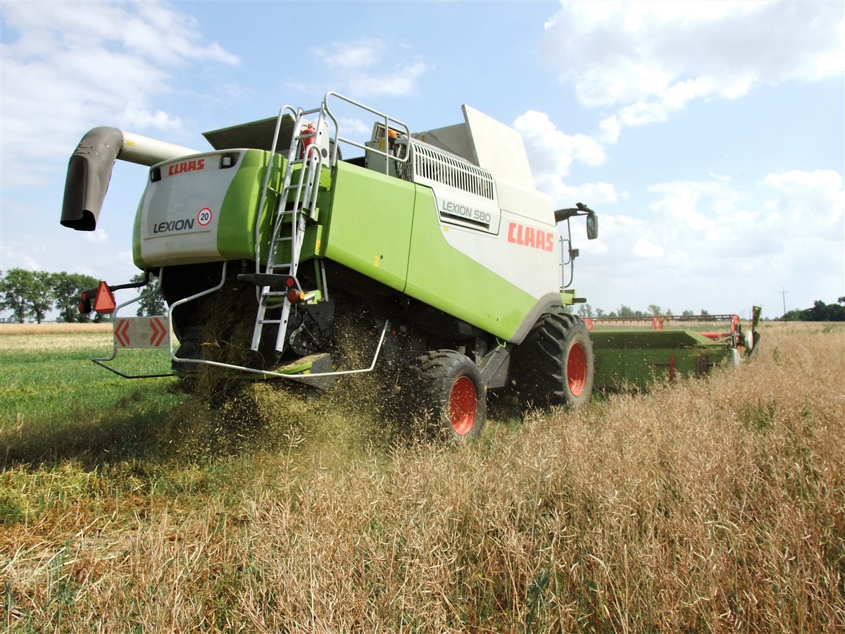 DSCF7029 2.JPG 1 Żniwa z Claas ą 2018: CLAAS LEXION 550   zbiór rzepaku z prędkością Pendolino