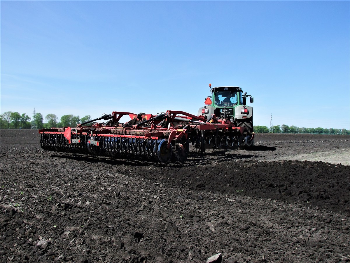 DSCF7029 2.JPG Pustynny siew rzepaku, w polu Fendt 926 Vario + Vaderstad Rapid A 600S (VIDEO)