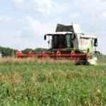 DSCF7034 3.JPG 150x150 Żniwa z Claas ą 2018: CLAAS LEXION 580 wyposażony w APS z Roto Plus   FOTO