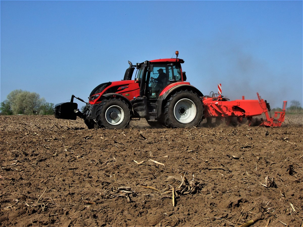 DSCF7155 2.JPG Nowa VALTRA T4 w testach polowych (FOTO)