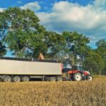 DSC01711 150x150 Żniwa 2018, kombajny John Deere S790i i Case IH 8230 w pszenicy ? FOTO