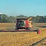 DSC01723 150x150 Żniwa 2018, kombajny John Deere S790i i Case IH 8230 w pszenicy ? FOTO