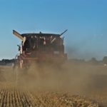DSC01725 150x150 Żniwa 2018, kombajny John Deere S790i i Case IH 8230 w pszenicy ? FOTO