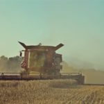 DSC01732 150x150 Żniwa 2018, kombajny John Deere S790i i Case IH 8230 w pszenicy ? FOTO