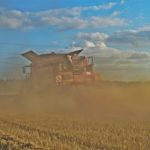 DSC01733 150x150 Żniwa 2018, kombajny John Deere S790i i Case IH 8230 w pszenicy ? FOTO