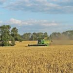 DSC01738 150x150 Żniwa 2018, kombajny John Deere S790i i Case IH 8230 w pszenicy ? FOTO