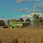 DSC01741 150x150 Żniwa 2018, kombajny John Deere S790i i Case IH 8230 w pszenicy ? FOTO