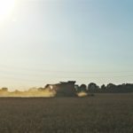 DSC01747 150x150 Żniwa 2018, kombajny John Deere S790i i Case IH 8230 w pszenicy ? FOTO