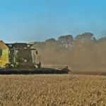 DSC01750 150x150 Żniwa 2018, kombajny John Deere S790i i Case IH 8230 w pszenicy ? FOTO