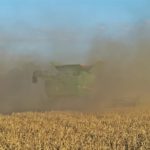 DSC01753 150x150 Żniwa 2018, kombajny John Deere S790i i Case IH 8230 w pszenicy – FOTO