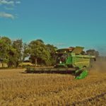 DSC01759 150x150 Żniwa 2018, kombajny John Deere S790i i Case IH 8230 w pszenicy ? FOTO