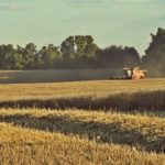 DSC01763 150x150 Żniwa 2018, kombajny John Deere S790i i Case IH 8230 w pszenicy – FOTO