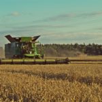 DSC01780 150x150 Żniwa 2018, kombajny John Deere S790i i Case IH 8230 w pszenicy ? FOTO