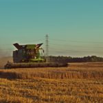 DSC01815 150x150 Żniwa 2018, kombajny John Deere S790i i Case IH 8230 w pszenicy ? FOTO
