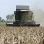 DSCF7021.JPG 150x150 FENDT 5255 L MCS ? polowy pokaz kombajnu