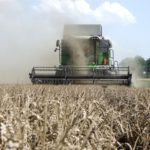 DSCF7045.JPG 150x150 FENDT 5255 L MCS ? polowy pokaz kombajnu