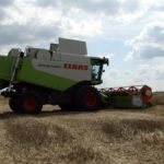 DSC07755 150x150 Żniwa z Claas ą 2018: CLAAS LEXION 540C i 450 w życie   FOTO