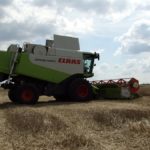 DSC07755 150x150 Żniwa z Claas’ą 2018: CLAAS LEXION 540C i 450 w życie   FOTO