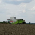 DSC07765 150x150 Żniwa z Claas ą 2018: CLAAS LEXION 540C i 450 w życie   FOTO