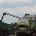 DSC07771 150x150 Żniwa z Claas ą 2018: CLAAS LEXION 540C i 450 w życie   FOTO