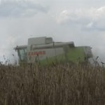 DSC07772 150x150 Żniwa z Claas ą 2018: CLAAS LEXION 540C i 450 w życie   FOTO