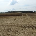DSC07777 150x150 Żniwa z Claas ą 2018: CLAAS LEXION 540C i 450 w życie   FOTO
