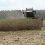 DSC07780 150x150 Żniwa z Claas ą 2018: CLAAS LEXION 540C i 450 w życie   FOTO