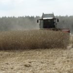 DSC07780 150x150 Żniwa z Claas’ą 2018: CLAAS LEXION 540C i 450 w życie   FOTO