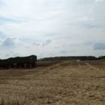 DSC07784 150x150 Żniwa z Claas ą 2018: CLAAS LEXION 540C i 450 w życie   FOTO