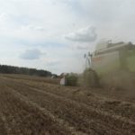 DSC07792 150x150 Żniwa z Claas ą 2018: CLAAS LEXION 540C i 450 w życie   FOTO