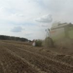 DSC07792 150x150 Żniwa z Claas’ą 2018: CLAAS LEXION 540C i 450 w życie   FOTO