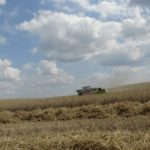 DSC07807 150x150 Żniwa z Claas ą 2018: CLAAS LEXION 540C i 450 w życie   FOTO