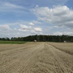 DSC07810 150x150 Żniwa z Claas ą 2018: CLAAS LEXION 540C i 450 w życie   FOTO