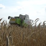 DSC07822 150x150 Żniwa z Claas ą 2018: CLAAS LEXION 540C i 450 w życie   FOTO