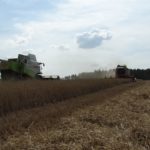 DSC07823 150x150 Żniwa z Claas ą 2018: CLAAS LEXION 540C i 450 w życie   FOTO