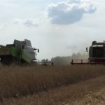 DSC07825 150x150 Żniwa z Claas’ą 2018: CLAAS LEXION 540C i 450 w życie   FOTO