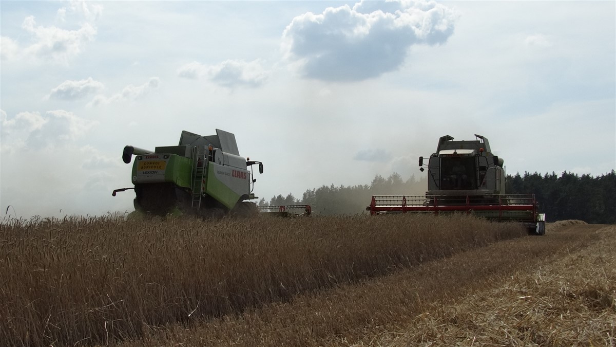 DSC07825 Żniwa 2019 z kombajnami CLAAS w obiektywie Szymona Śpiewaka