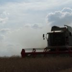 DSC07830 150x150 Żniwa z Claas ą 2018: CLAAS LEXION 540C i 450 w życie   FOTO