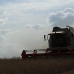 DSC07830 150x150 Żniwa z Claas’ą 2018: CLAAS LEXION 540C i 450 w życie   FOTO