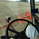DSC07843 150x150 Żniwa z Claas ą 2018: CLAAS LEXION 540C i 450 w życie   FOTO