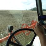 DSC07845 150x150 Żniwa z Claas ą 2018: CLAAS LEXION 540C i 450 w życie   FOTO
