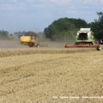 IS DSCF7007.JPG 150x150 Claas Mega 208 i New Holland CX 6080   dwa pokolenia kombajnów na jednym polu   FOTO