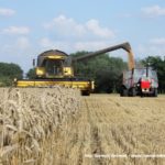 IS DSCF7009.JPG 150x150 Claas Mega 208 i New Holland CX 6080   dwa pokolenia kombajnów na jednym polu   FOTO