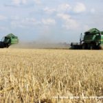 IS DSCF7011 3.JPG 150x150 Żniwa z John Deere na Kujawach ? 6 jeleni w akcji   FOTO
